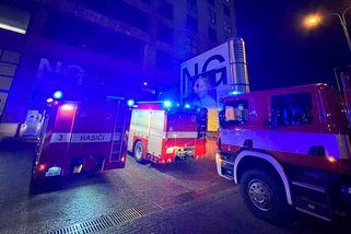 Hasiči v pražských Holešovicích zachraňovali před vodou exponáty Národní galerie - Novinky